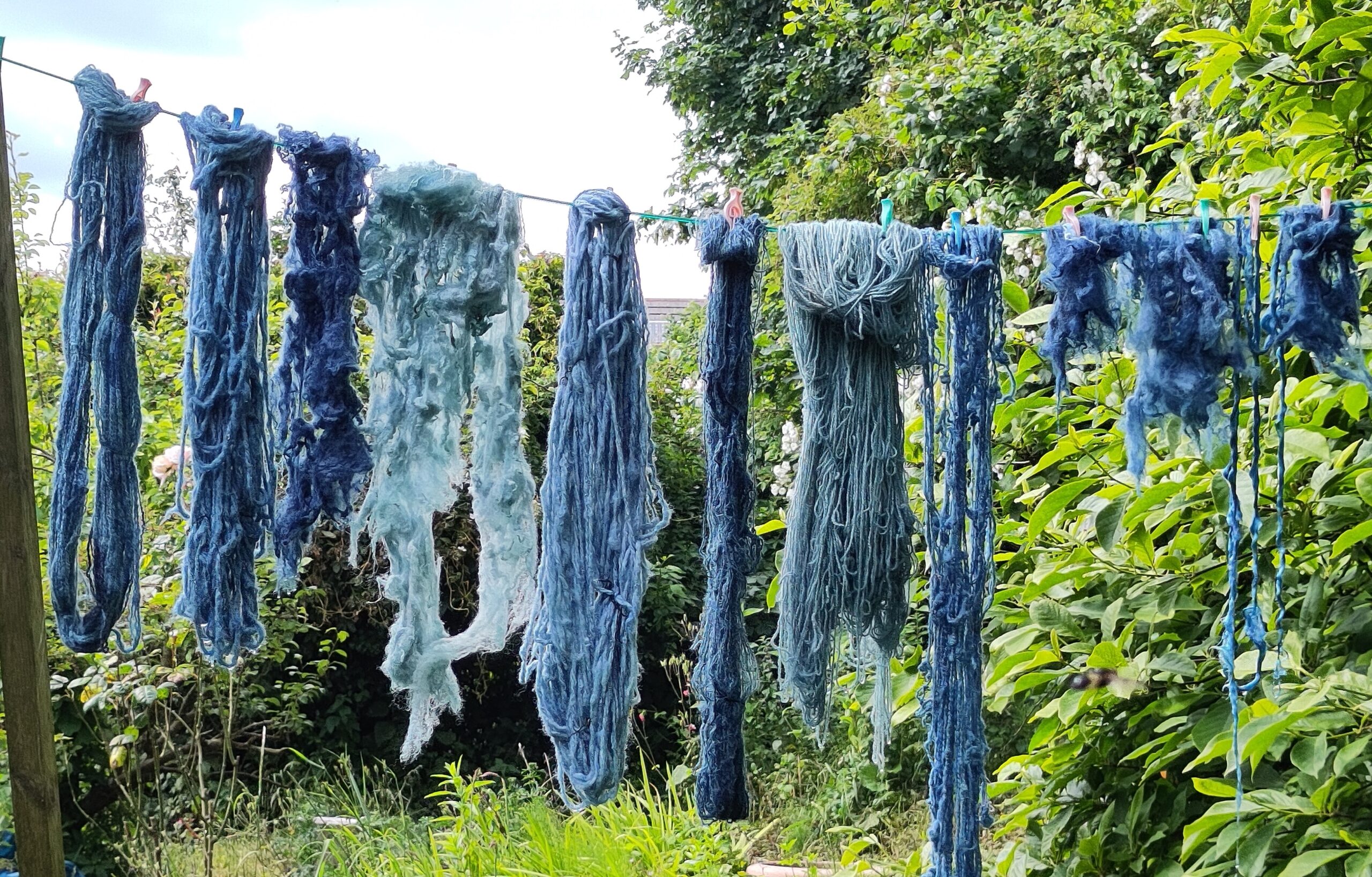 123 and blue magic! Vat dyeing with woad.